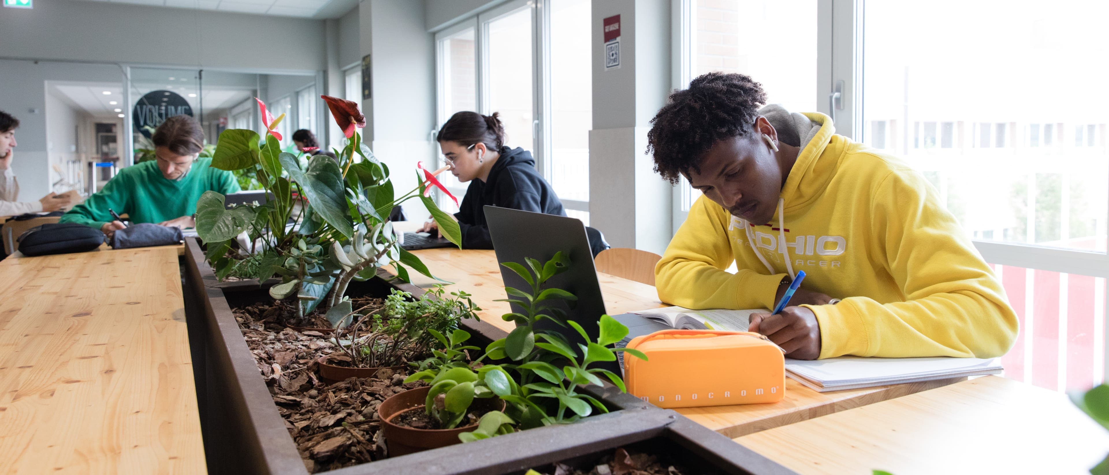 Image for Bachelor in Business Economics: Financial and Business Management